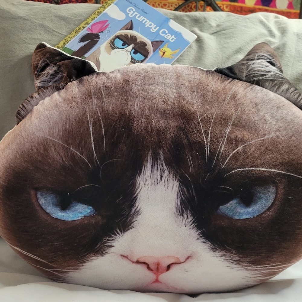 Grumpy Cat Pillow & Little Golden Grumpy Cat Book